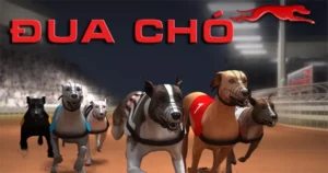 Cách Chơi Game Nhanh Đua Chó Tại AE888 Cực Dễ Dàng 6 Cách Chơi Game Nhanh Đua Chó Tại AE888 Cực Dễ Dàng